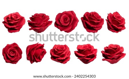 Set of Red Roses Isolated Vector on Clear Background