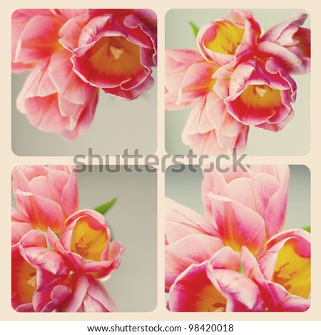 set with retro pattern, vintage
