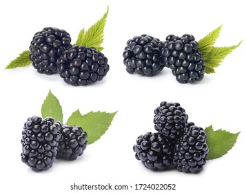 Set of ripe blackberries on white background 