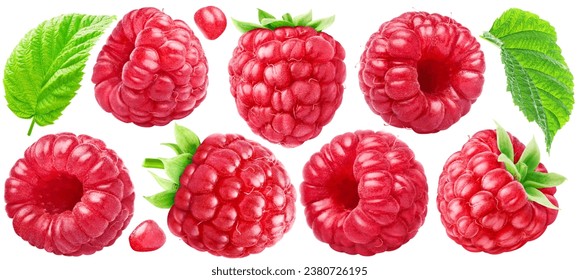 Set of ripe raspberries with leaves isolated on white background.