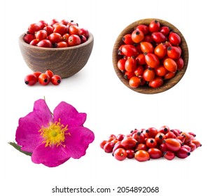 Set of rosehip berries. Fresh rosehip berries on white background. Top view. Rosehip berries in a bowl isolated on white background. Rose hip berries with copy space for text.