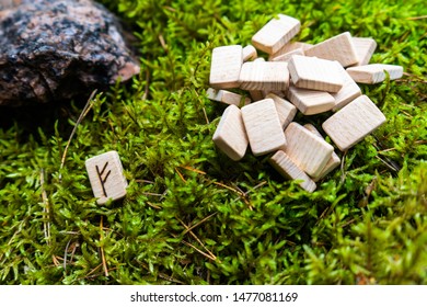 A set of Scandinavian runes made on wooden planks lies on a natural moss, next to the Fehu rune, attracting wealth. Fortune telling tool, concept for predicting the future.