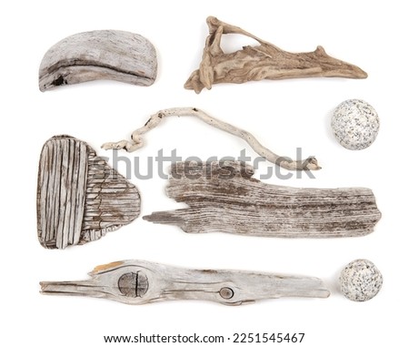 Set of sea beach driftwood branches and stones isolated on white background. Pieces of sea drift wood and washed round stones. Bleached dry aged drift wood. 