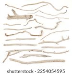 Set of sea driftwood branches isolated on white background. Bleached dry aged drift wood. 