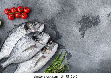 Set Of Seabream Or Gilt Head Bream Orata Fish With Herbs Pepper Lime Tomato For Cooking And Grill On Grey Textured Background, Top View With Space For Text