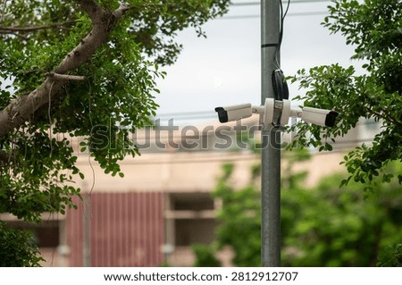 A set of security cameras installed on a tree branch and mounted on a pole, designed to monitor outdoor environments for safety and security purposes.