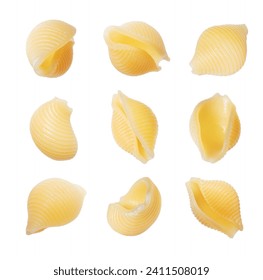 Set of shell pasta close up isolated on a white background. Pasta in the form of shells close-up - Powered by Shutterstock