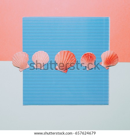 Set shells. Minimal. Sea vibes
