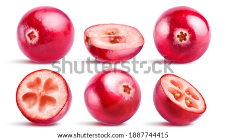 Set of six cranberries. Three berries cut, three whole isolated on white background with clipping path.