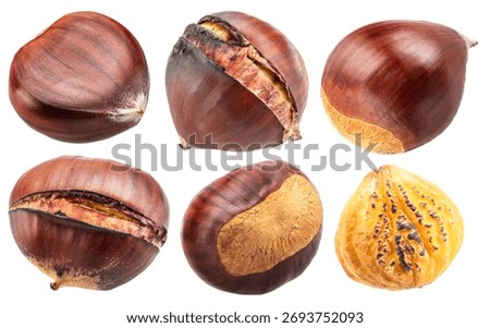Set of six different chestnuts on white background. File contains clipping paths.