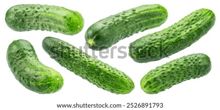 Set of small cucumbers of different shapes isolated on white background. Cucumbers that are used for pickling or slicing.