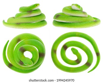 Set Of Snake Toy Isolated On White Background.