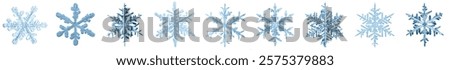 set of snowflakes on a white background, real photos natural crystals macro photo isolated on white