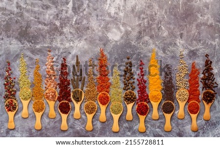 A set of spices on a gray background. Variety of spices from India. Food decoration design. Various spices, peppers and herbs close-up top view. Set of peppers, salt, herbs and spices for cooking.