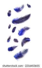 Set Of Spotty Blue - Black Bird Feathers On White Background