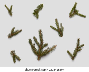 Set of spruce, fir, Christmas tree, beautiful green branches isolated elements. Close up variation. For vintage Christmas decor and holiday, festive, winter, retro designs. 