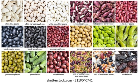 Black gram pod Images, Stock Photos & Vectors | Shutterstock