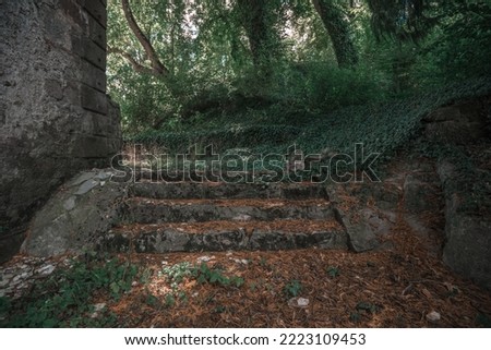 a set of stairs leading up to a forest area with trees and bushes on either side of the stairs..