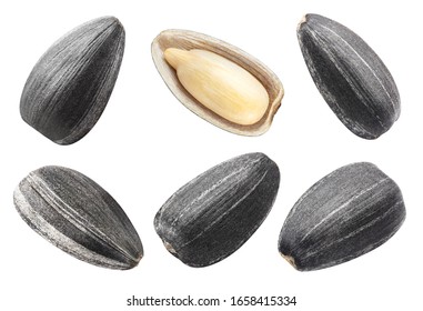 Conjunto de semillas negras de girasol, aisladas en fondo blanco