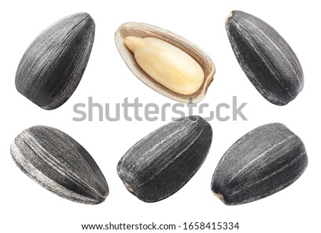 Set of sunflower black seeds, isolated on white background