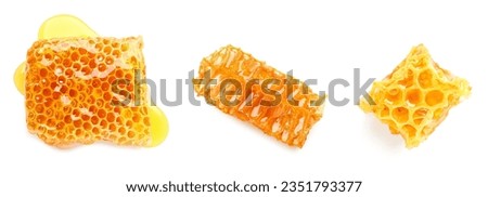 Set of sweet honeycombs on white background, top view