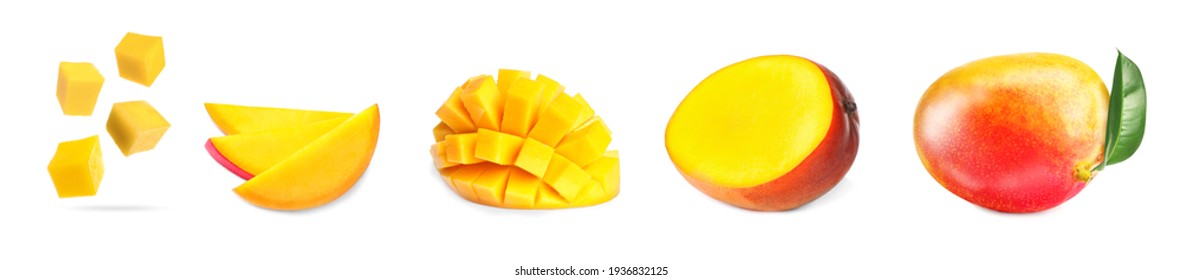 Está decorado con mangos maduros y dulces sobre fondo blanco. Diseño de pancartas