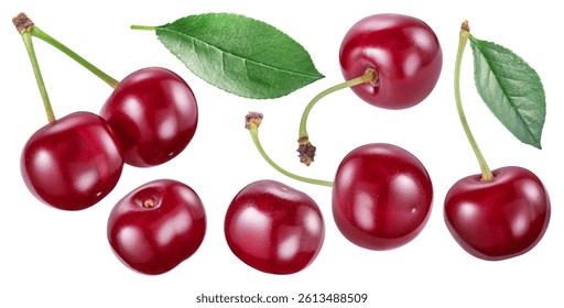 Set of tart cherries or sour cherries and cherry leaves isolated on white background. File contains clipping paths.