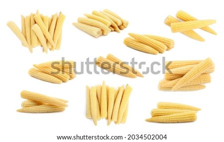 Set with tasty baby corn cobs on white background 