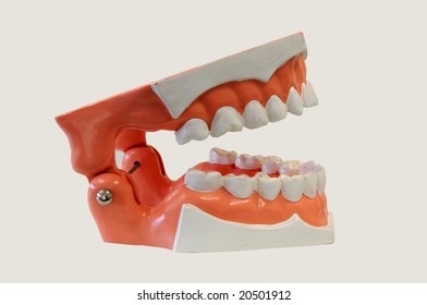 Set Teeth Stock Photo 20501912 | Shutterstock