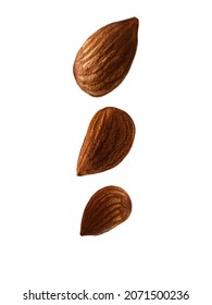 
A set of three pieces of almonds cut from a white background. TIF file.