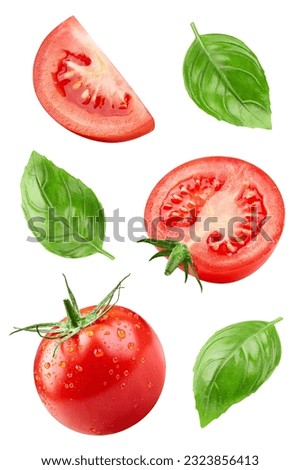Set of tomato with basil leaves on a white background. Tomato with clipping path.