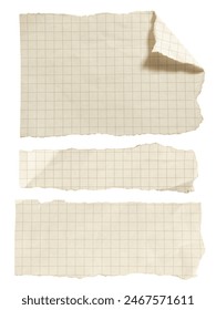 Set of torn grid papers on white background with clipping path
