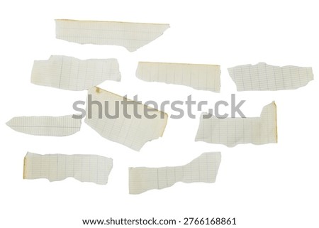 Set of Torn Lined Notebook Paper Pieces With Burnt Edges on White Background