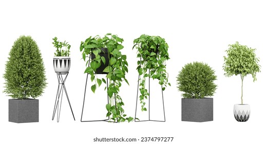 Set of Transparent Plant Kingdom, Beautiful Cut-Out Plant Photos, Stunning Cut-Out Plant Images transparency backgrounds for illustration, digital composition and architecture visualization