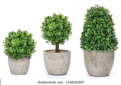 Set trees that decorate the room. Pot fake plant isolated on white