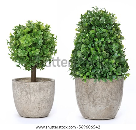Set trees that decorate the room. Pot fake plant isolated on white