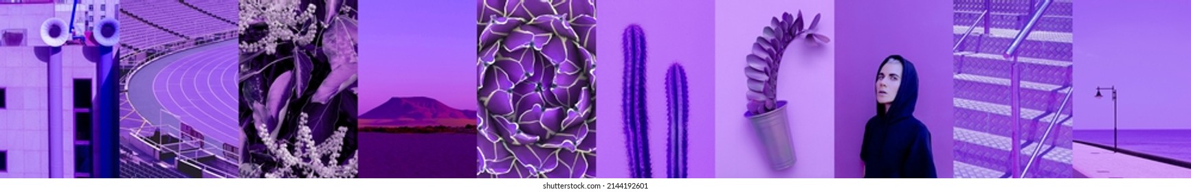 Set of trendy aesthetic photo collages. Minimalistic images of one top color. Purple mood board - Shutterstock ID 2144192601