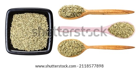 set of various aniseeds isolated on white background