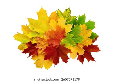 yellow colorful leaves red