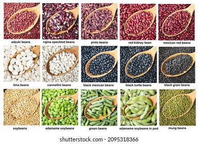 Black gram pod Images, Stock Photos & Vectors | Shutterstock