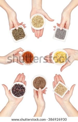 set of various spices and herbs in a hands isolated on white background