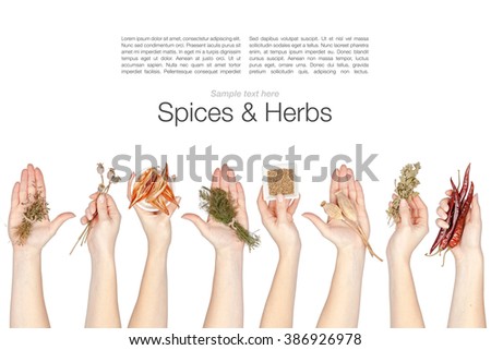 set of various spices and herbs in a hands isolated on white background