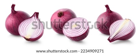 Set of various whole and sliced red onions isolated on white background