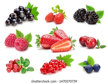 Set of various wild and garden berries, isolated on the white background.