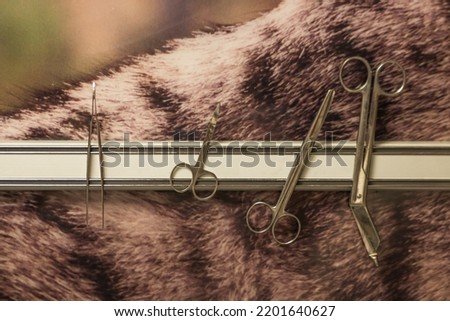 Set of veterinary tools: metallic forceps, tweezers, clamps and scissors on the magnetic board in operation room. Instruments for veterinary surgery. Concept of veterinary madicine.