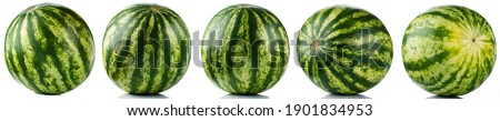 Set of watermelon fruits isolated, collection watermelon on white background