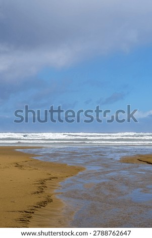 Set of waves rolling in on Ripiro Beach with shallow stream leading to waters edge in west coast of Northland New Zealand.