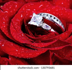 Set of wedding rings in Red rose taken closeup with water drops