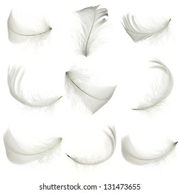 Set Of White Feather, Isolated.