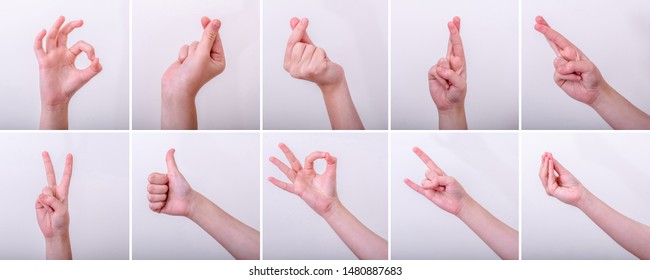 Set White Woman Hand Gestures Measuring Stock Photo 1480887683 ...